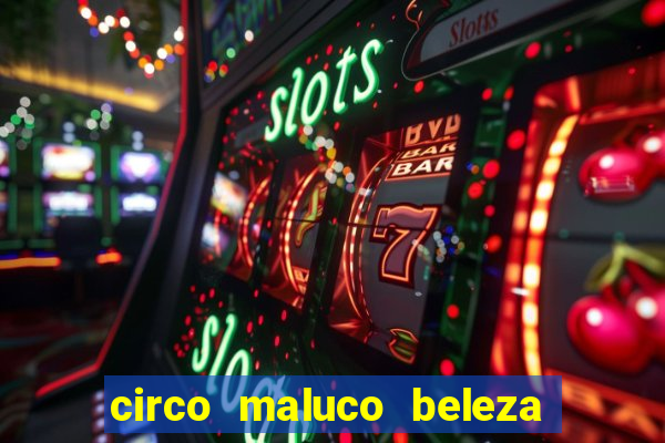 circo maluco beleza recife circo maluco